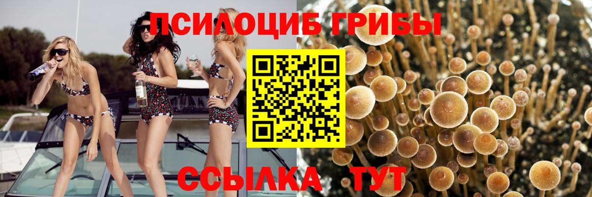 Псилоцибиновые грибы ЛСД Ногинск